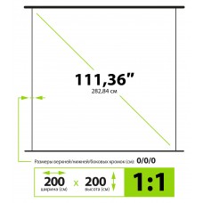 Экран Cactus 200x200см GreenMotoExpert CS-PSGME-200X200 1:1 настенно-потолочный рулонный