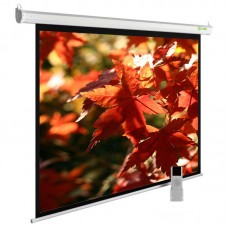 Экран Cactus 150x200см SIlverMotoExpert CS-PSSME-200X150-WT 4:3 настенно-потолочный рулонный белый (моторизованный привод)