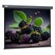 Экран Cactus 127x127см Wallscreen CS-PSW-127X127-SG 1:1 настенно-потолочный рулонный серый