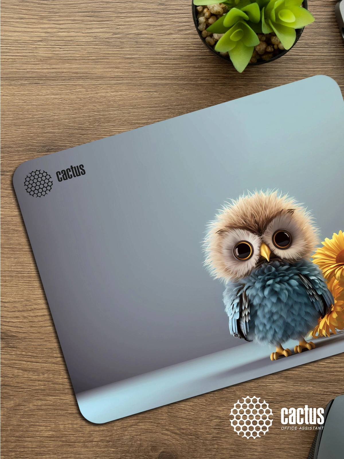 Коврик для мыши Cactus Owl gray 300x250x3мм (CS-MP-D12M)