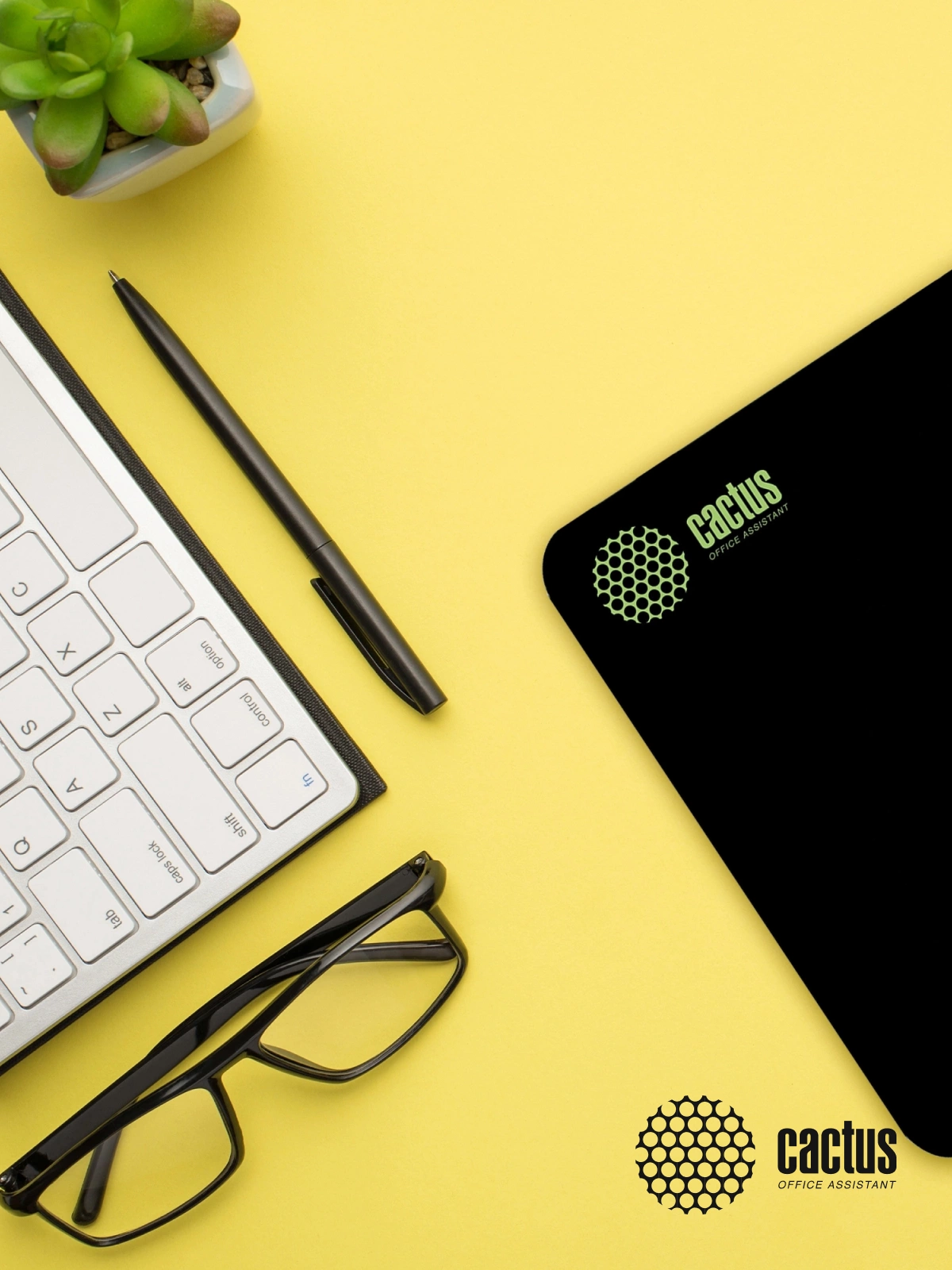 Коврик для мыши Cactus Black черный 300x250x2мм (CS-MPC-P01M)